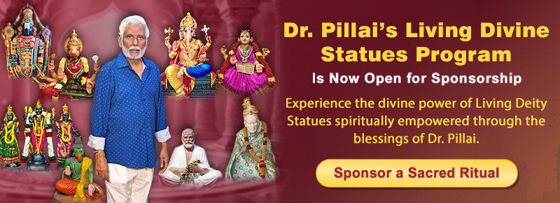 Dr. Pillai's Living Divine Statues Program