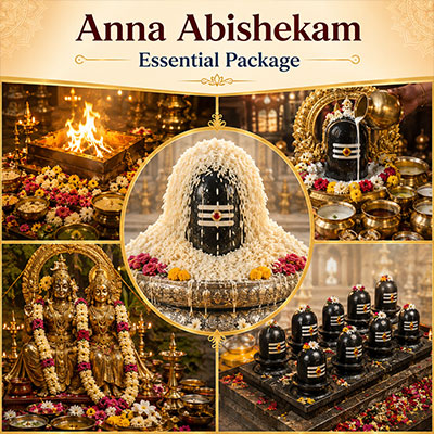 Essential Anna Abishekam Blessings